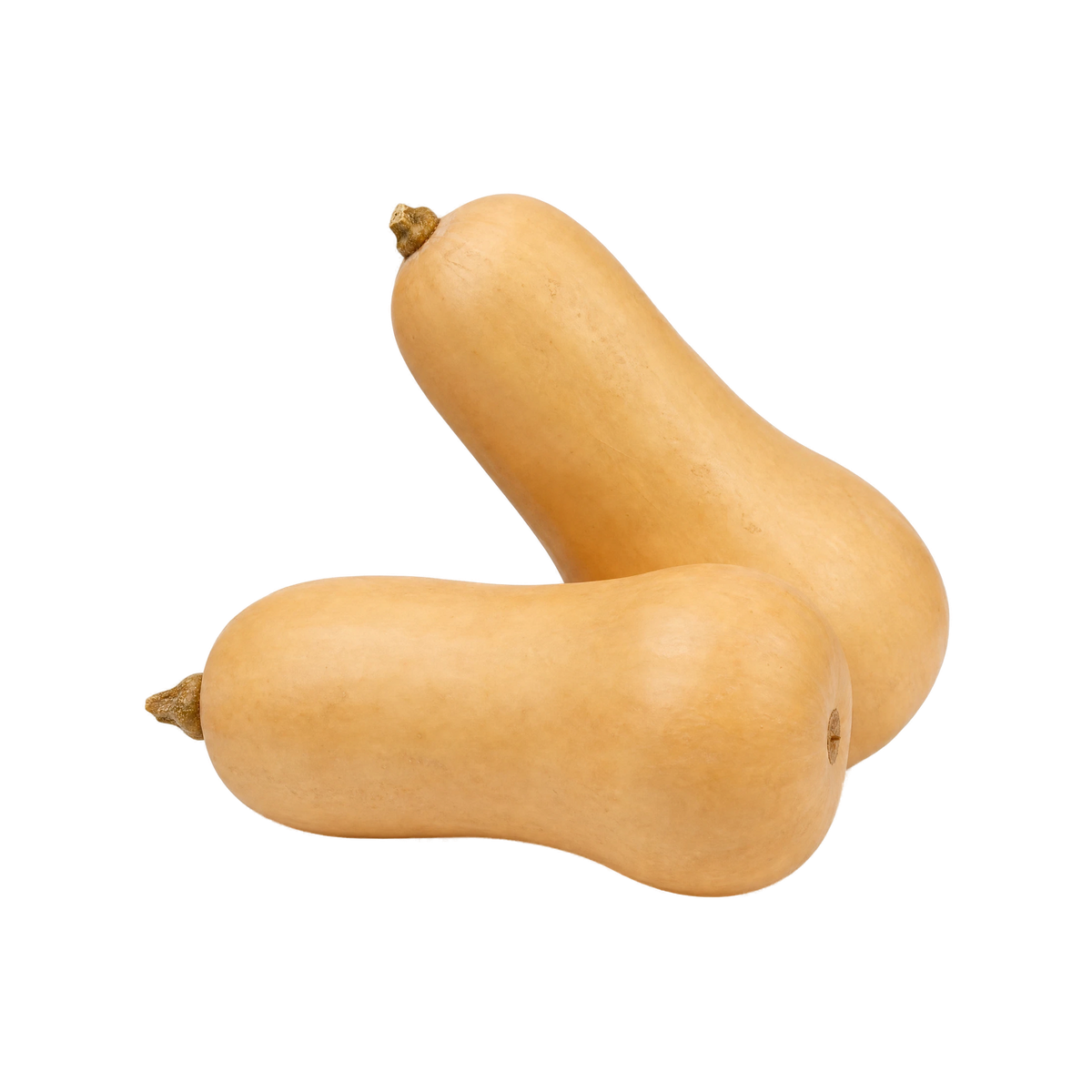 Butternut squash på transparent baggrund