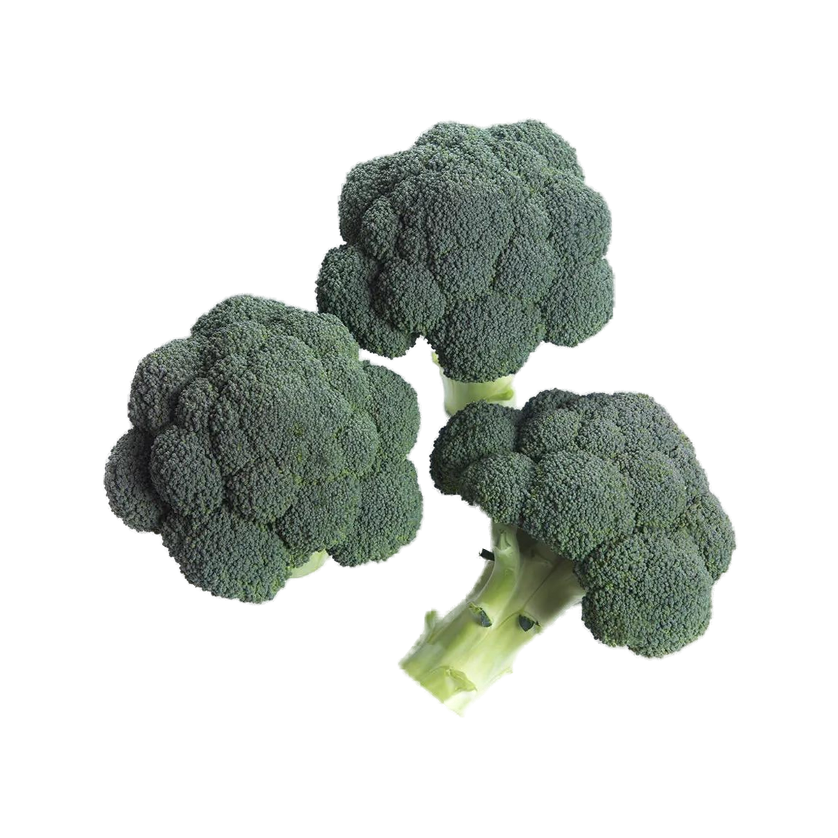 Broccoli på transparent baggrund