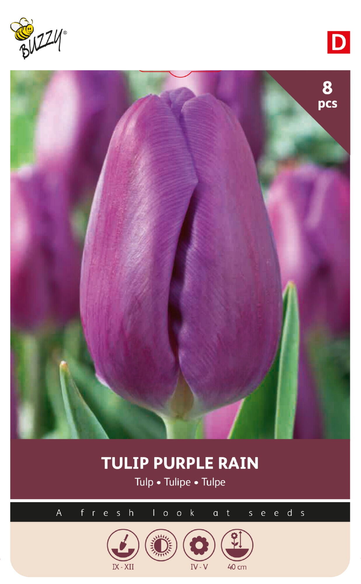Tulipan 'Purple Rain' 11/12 cm – 8 løg