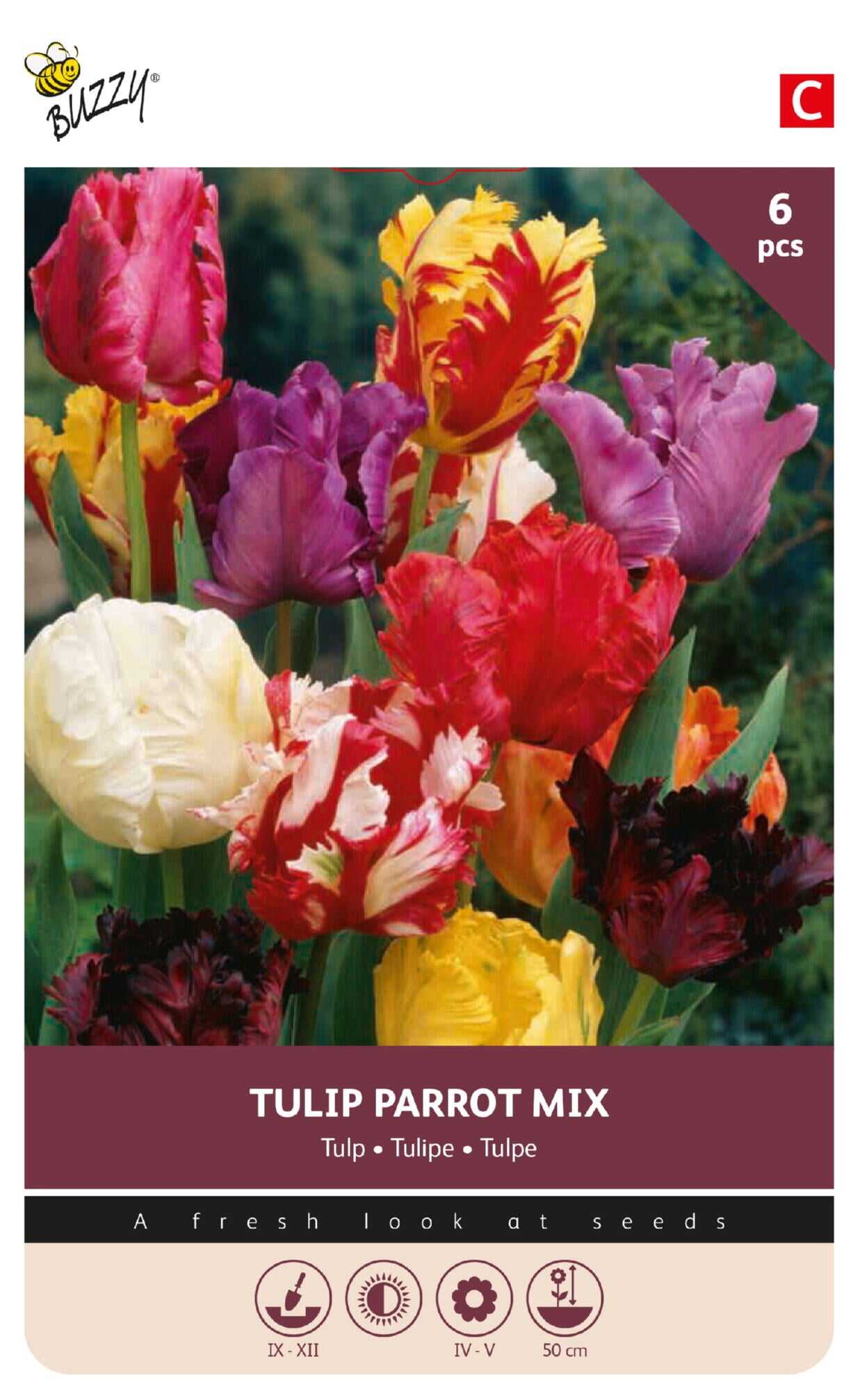 Papegøje-tulipan, udvalgt blanding 11/12 cm – 6 løg
