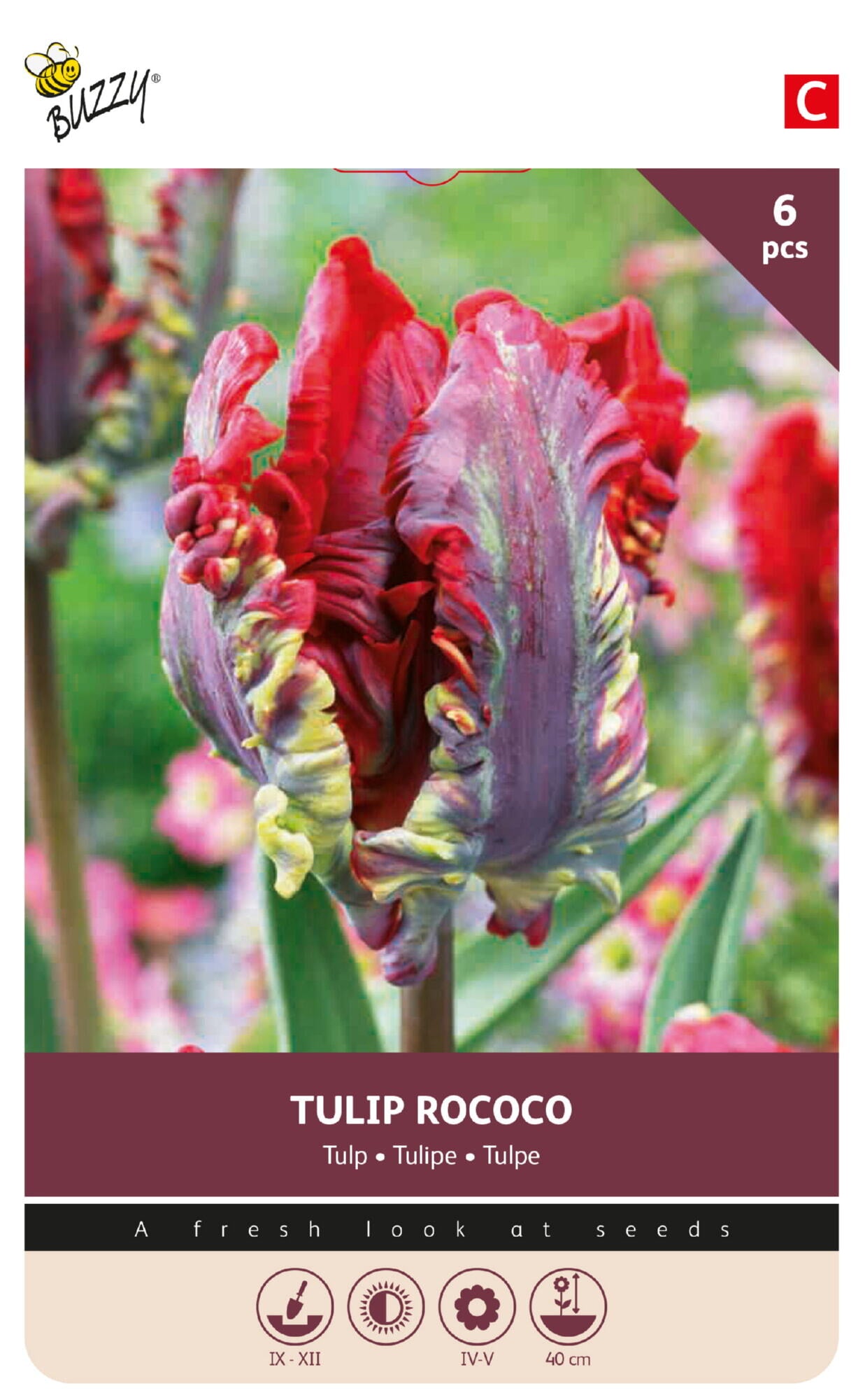 Tulipan 'Rococo' 11/12 cm – 6 løg