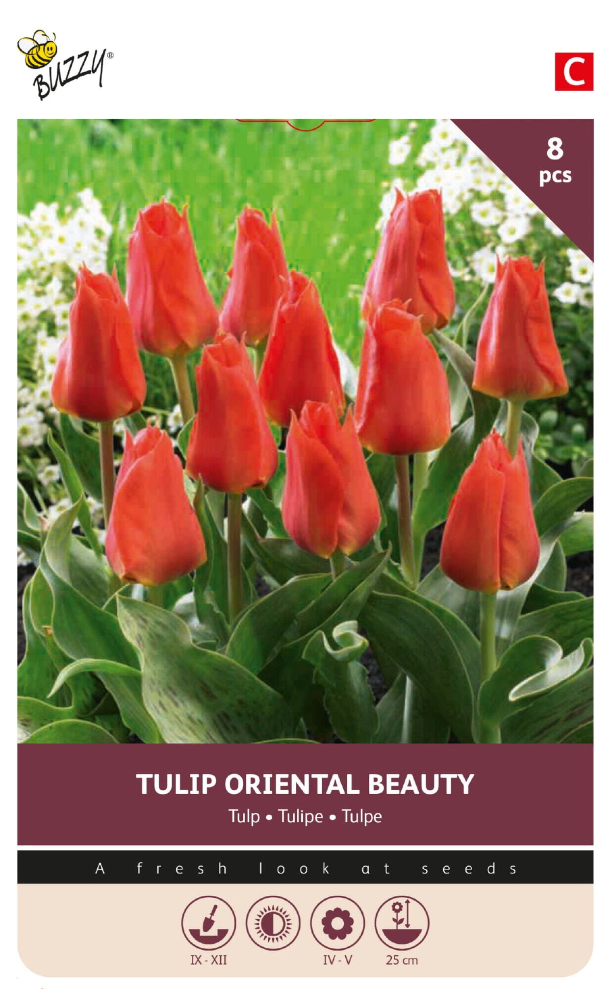Tulipan 'Oriental Beauty' 11/12 cm – 8 løg