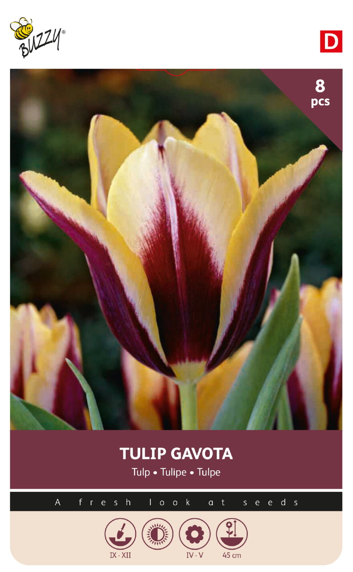 Tulipan 'Gavota' 11/12 cm – 8 løg