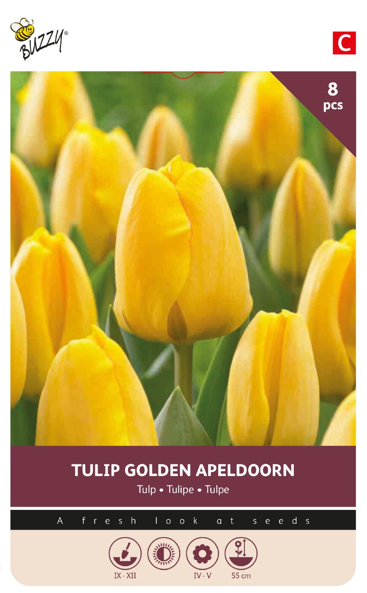 Tulipan 'Golden Apeldoorn' 11/12 cm – 8 løg
