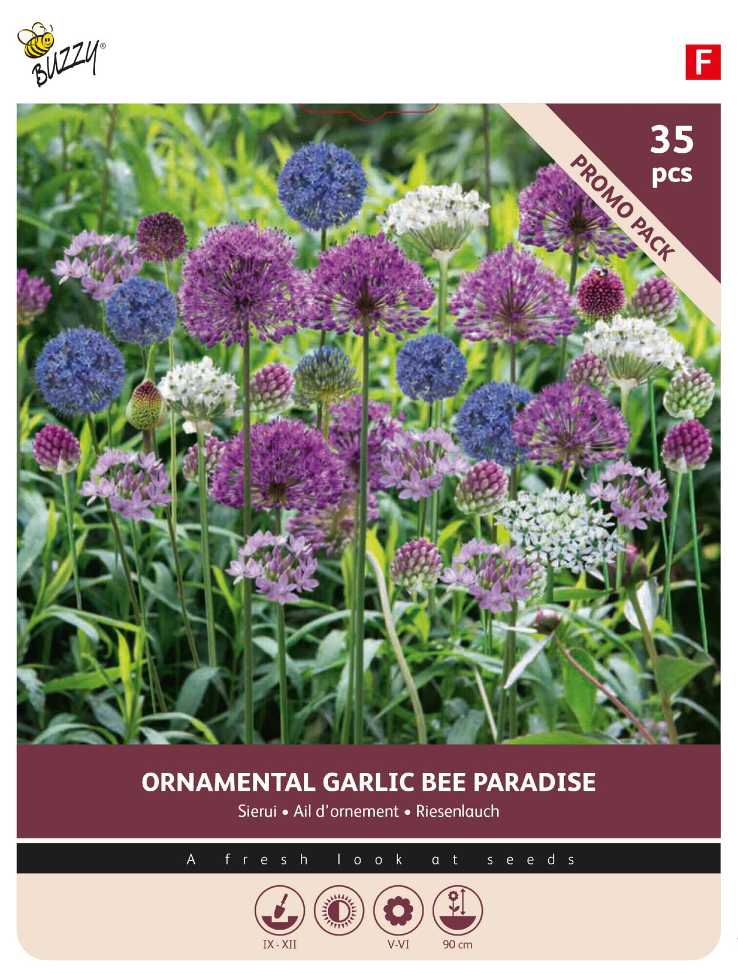 Allium Bee Paradise blomsterløg, 35 stk promo-pakke med dekorative kugleformede blomsterhoveder