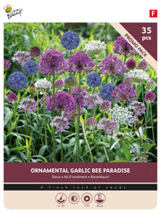 Allium Bee Paradise blomsterløg, 35 stk promo-pakke med dekorative kugleformede blomsterhoveder