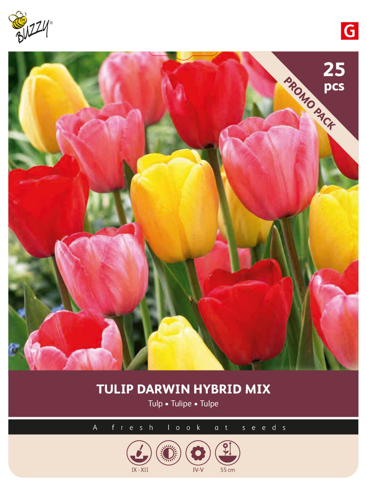 Darwin-hybridtulipan, blanding 11/12 cm – 25 løg