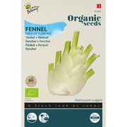 Knoldfennikel 'Doux de Florence' frø