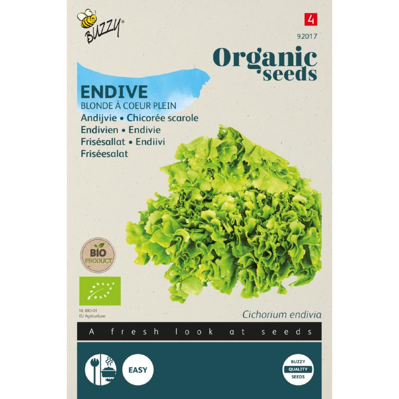 Endivie 'Blonde à Coeur Plein' frø