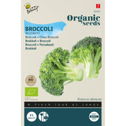 Broccoli 'Belstar' F1 frø