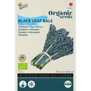 Palmekål 'Nero di Toscana' frø