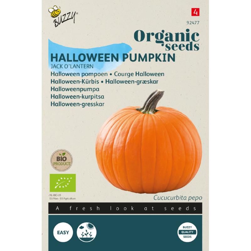 Græskar 'Jack O' Lantern' frø