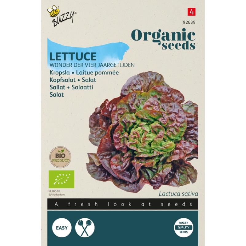 Hovedsalat 'Merveille des Quatre Saisons' frø