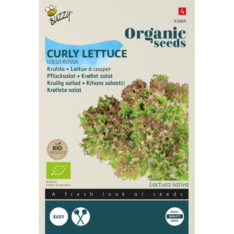 Salat 'Lollo Rossa' frø