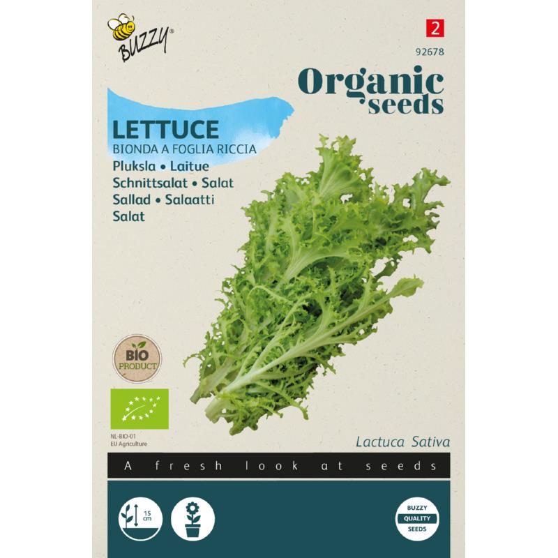 Pluksalat 'Bionda a foglia riccia' frø
