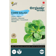 Vårsalat 'Vit' frø