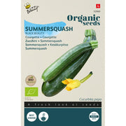 Sommersquash 'Black Beauty' frø