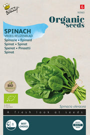Spinat 'Early Giant Leaf' frø