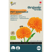 Morgenfrue 'Ball's Orange' frø