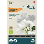 Sommermalve 'Mont Blanc' frø