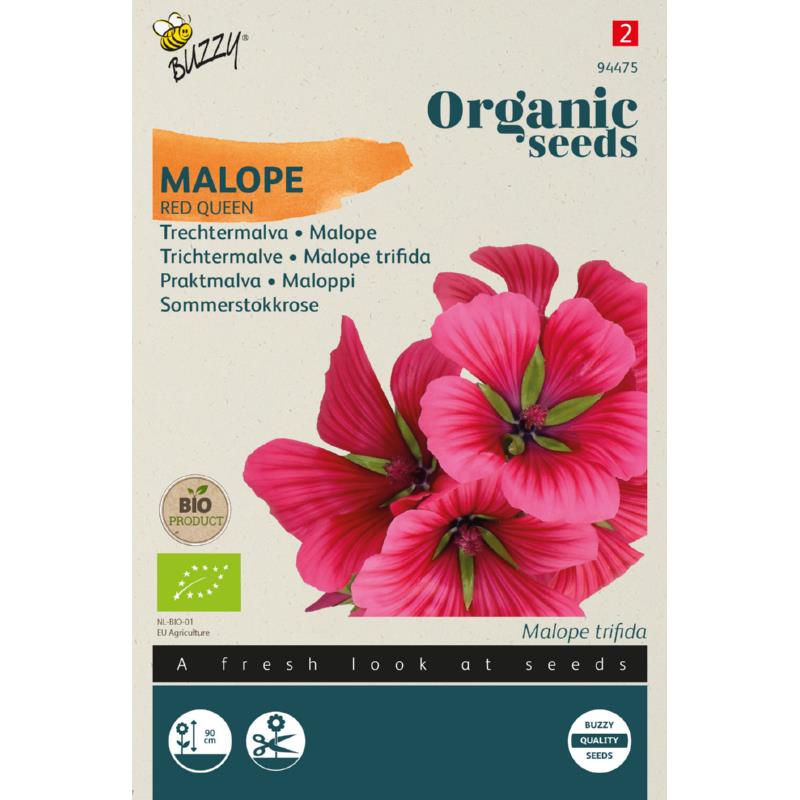 Trompetkatost 'Red Queen' frø