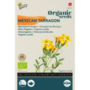 Mexicansk estragon frø