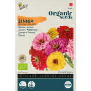 Frøkenhat, dahlia-blomstret frø